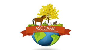 ASODAAM