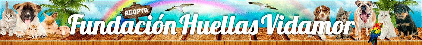 Huellas Vidamor