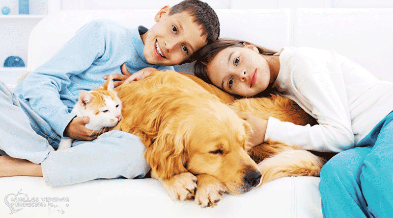 beneficios de crecer con una mascota