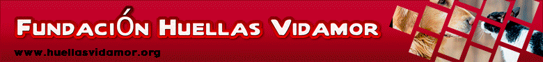 banner fundacion