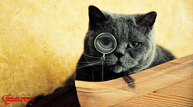 investigaciones