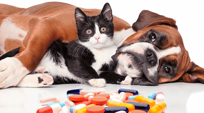 medi2 Dona Medicamentos
