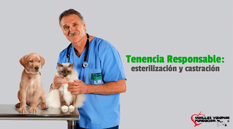 Castración y Esterilización