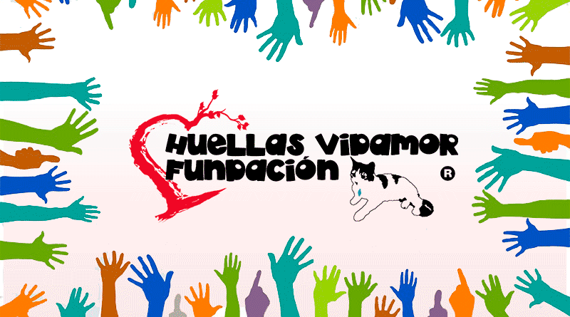 v1.1 voluntariado