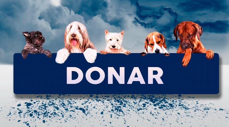 Donar