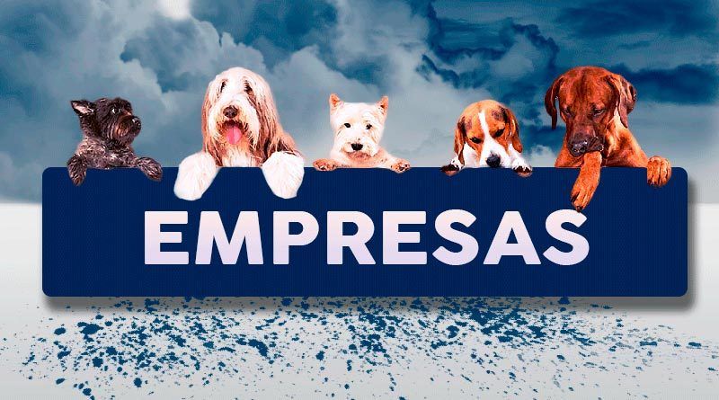 empresa