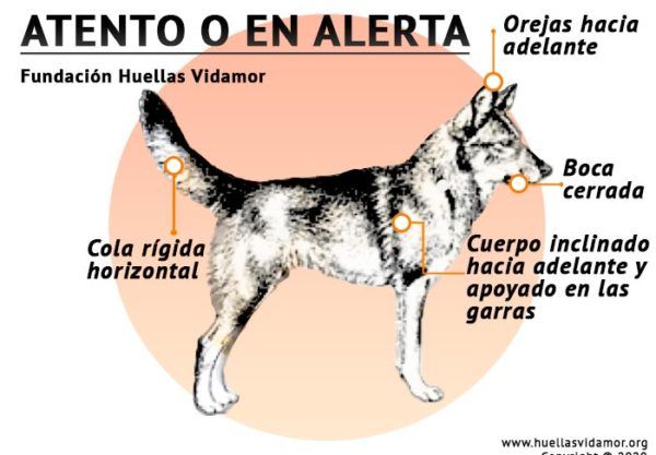 lenguaje visual "alerta"