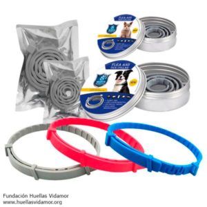 collar antipulgas