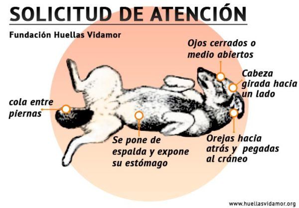 lenguaje visual "atención"