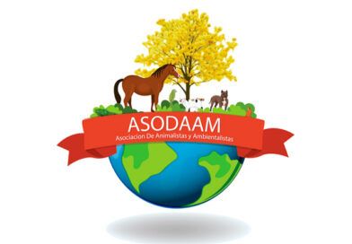 asoodam