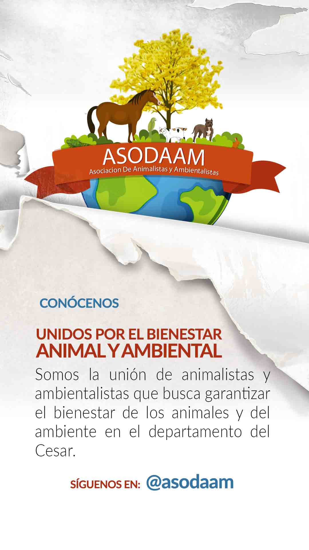 asodaam2