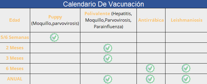 carnet de vacunación