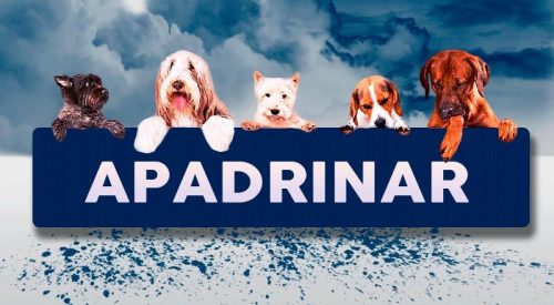 apadrinar