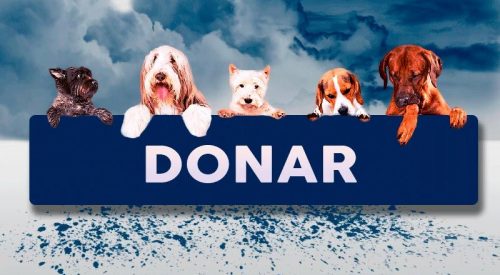 Donar