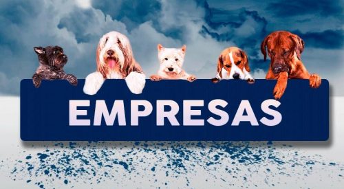 empresa